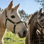 Σπίτι διακοπών Casa Provence Family & Friends Mare & Natura *