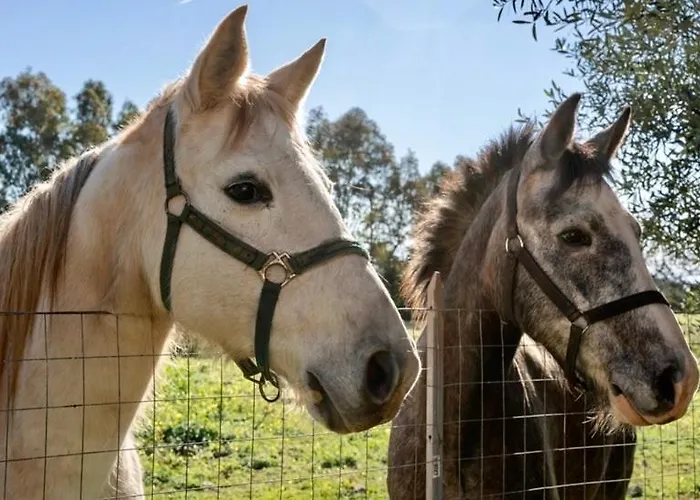Vakantiehuis Casa Provence Family & Friends Mare & Natura *