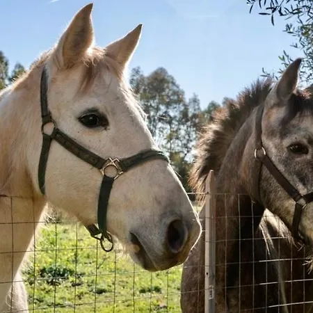 Semesterbostad Casa Provence Family & Friends Mare & Natura *
